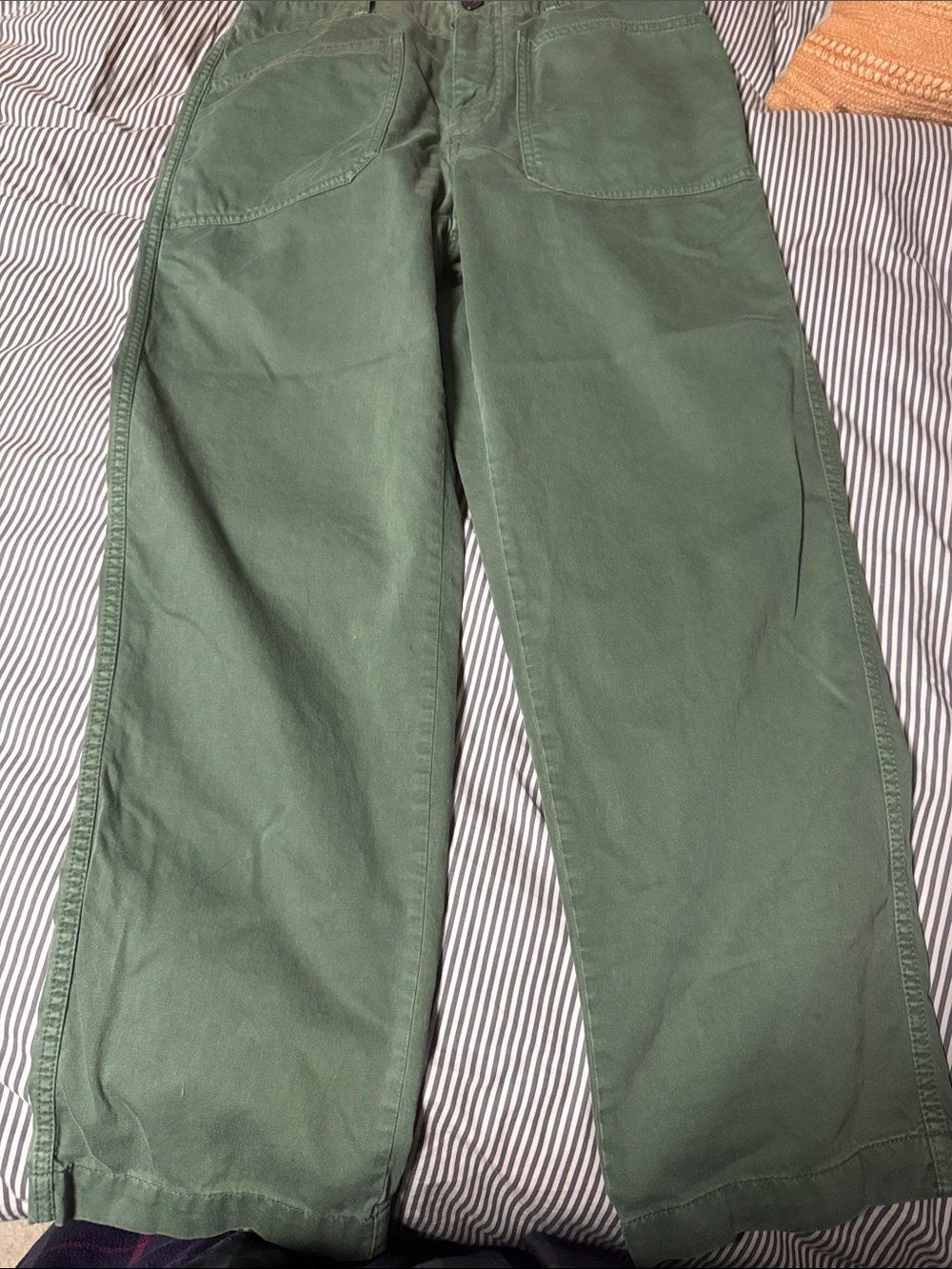 Women’s Madewell Green Wide-Leg Cotton Pants size 2